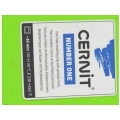 CERNIT number one 019